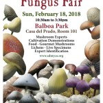 Fungus Fair Flyer Feb 18 2018