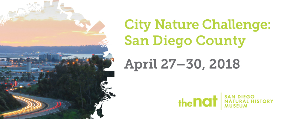 City Nature Challenge Poster